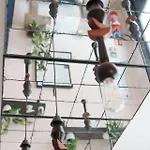 אכסניה Le Maje מונפלייה